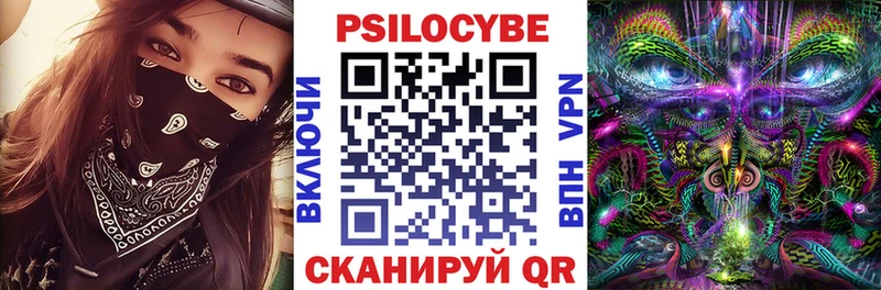 Псилоцибиновые грибы MAGIC MUSHROOMS  как найти закладки  Чистополь 