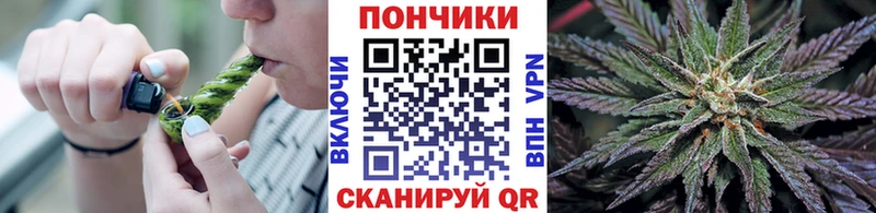ссылка на мегу как войти  закладка  Чистополь  Шишки марихуана Ganja 